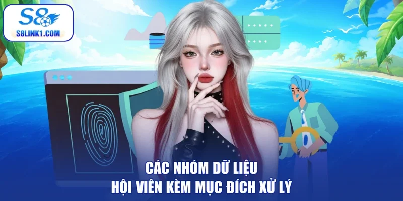 Các nhóm dữ liệu hội viên kèm mục đích xử lý