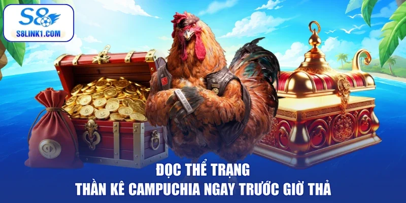 Đọc thể trạng thần kê Campuchia ngay trước giờ thả