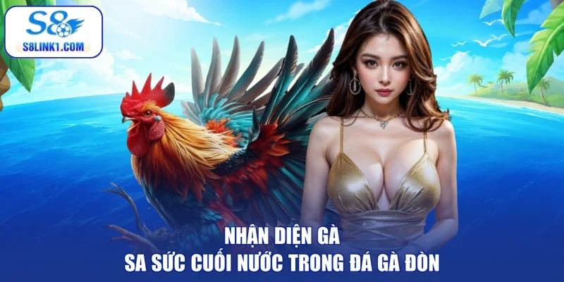 Nhận diện gà sa sức cuối nước trong đá gà đòn
